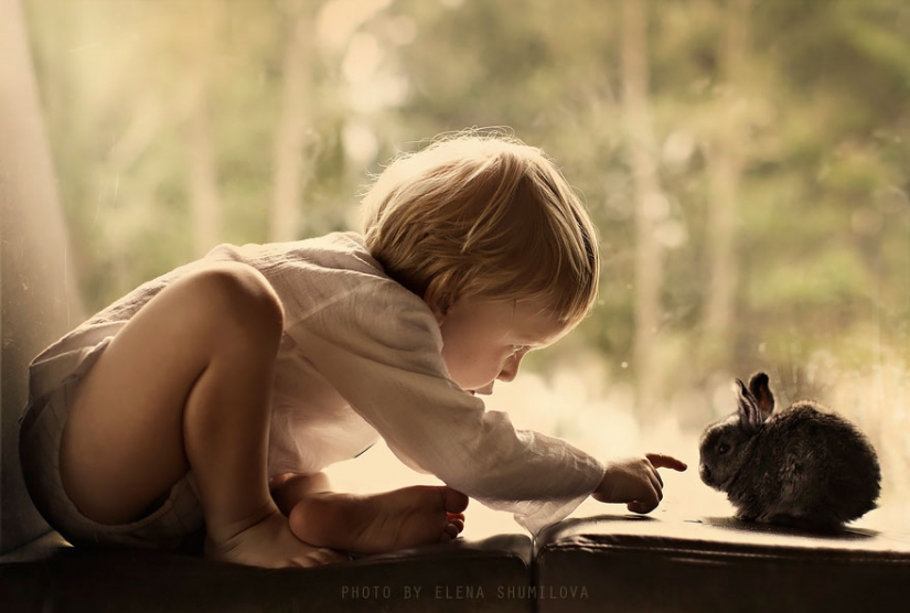 Mujer rusa crea impresionantes fotografías de sus hijos con los animales en el pueblo Mujer rusa crea impresionantes fotografías de sus hijos con los animales en el pueblo