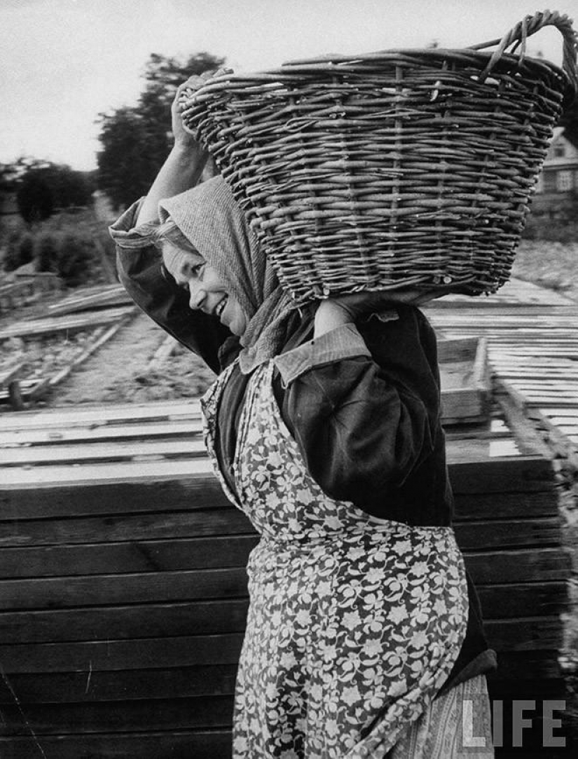 Muscovite in 1956 in pictures LIFE photographer Lisa Larsen Muscovite in 1956 in pictures LIFE photographer Lisa Larsen