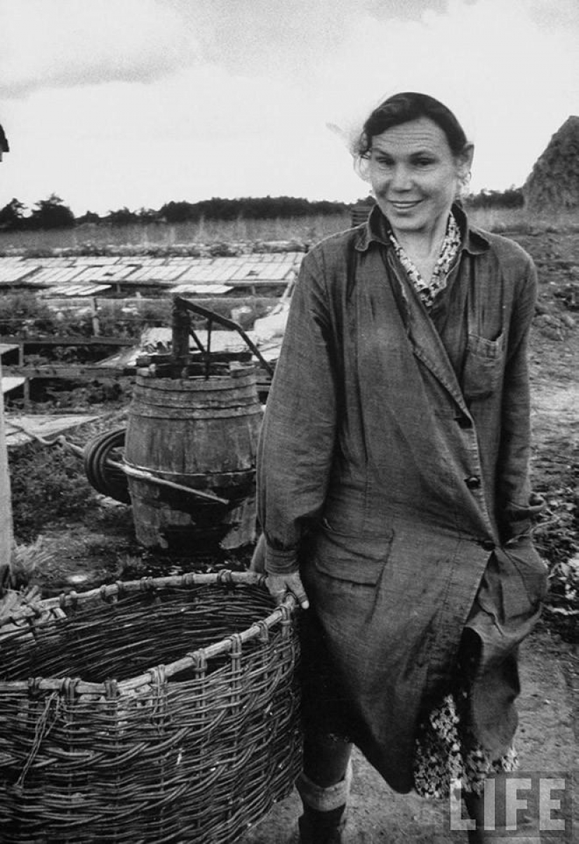 Muscovite in 1956 in pictures LIFE photographer Lisa Larsen Muscovite in 1956 in pictures LIFE photographer Lisa Larsen