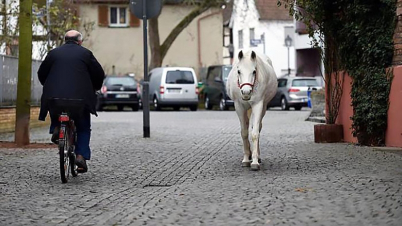 "My name is Jenny. I didn't run, I just walk." "My name is Jenny. I didn't run, I just walk."