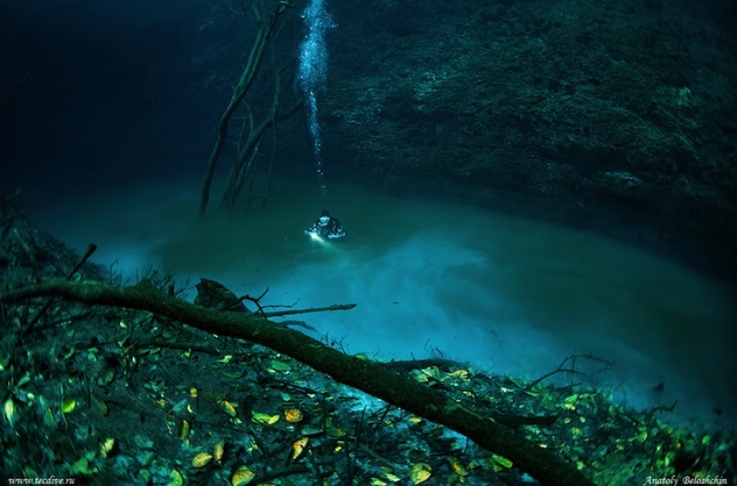 Mystical underwater river flows along the ocean floor in Mexico
