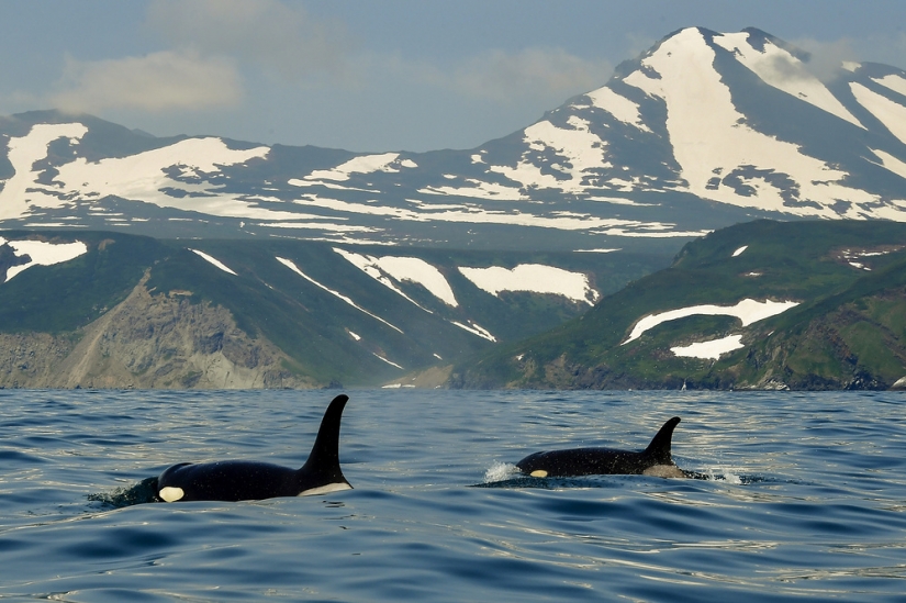 Natural beauty of Kamchatka