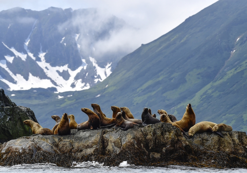 Natural beauty of Kamchatka