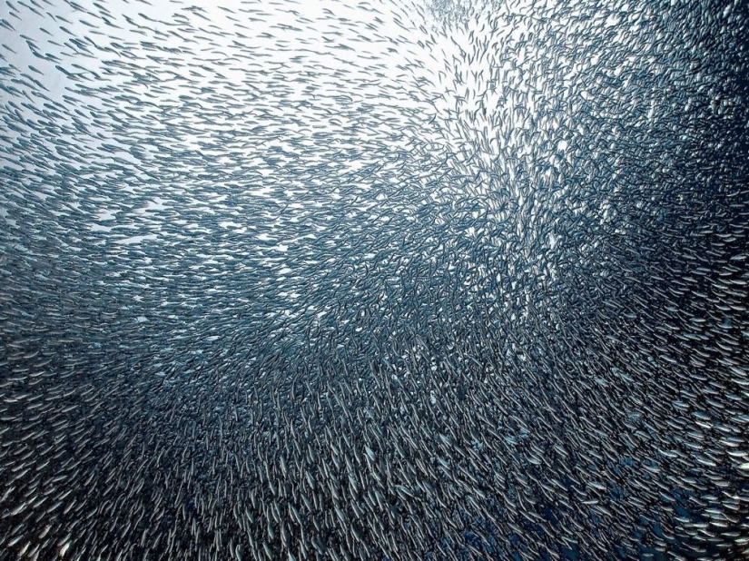 Natural phenomena that are hard to believe Natural phenomena that are hard to believe