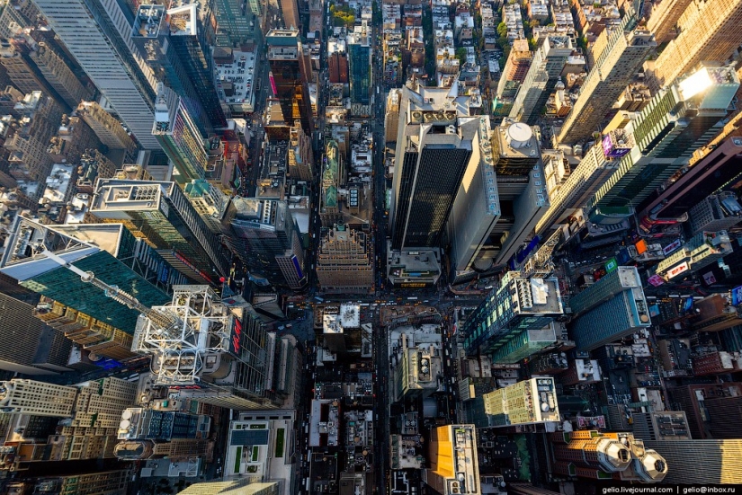 New York from the height of bird flight