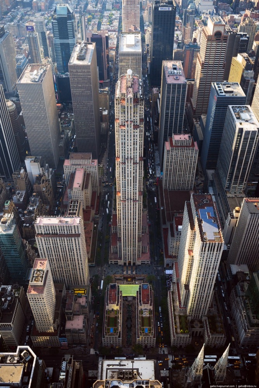 New York from the height of bird flight