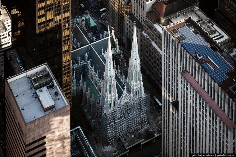 New York from the height of bird flight