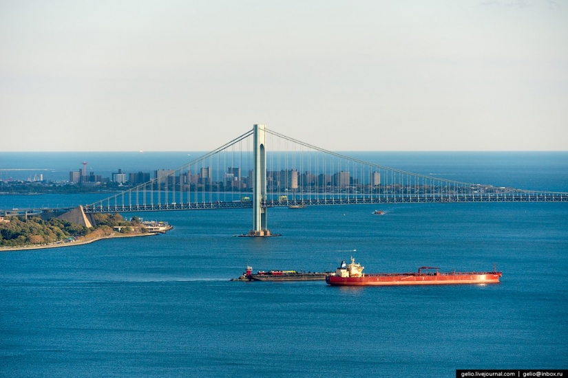New York from the height of bird flight