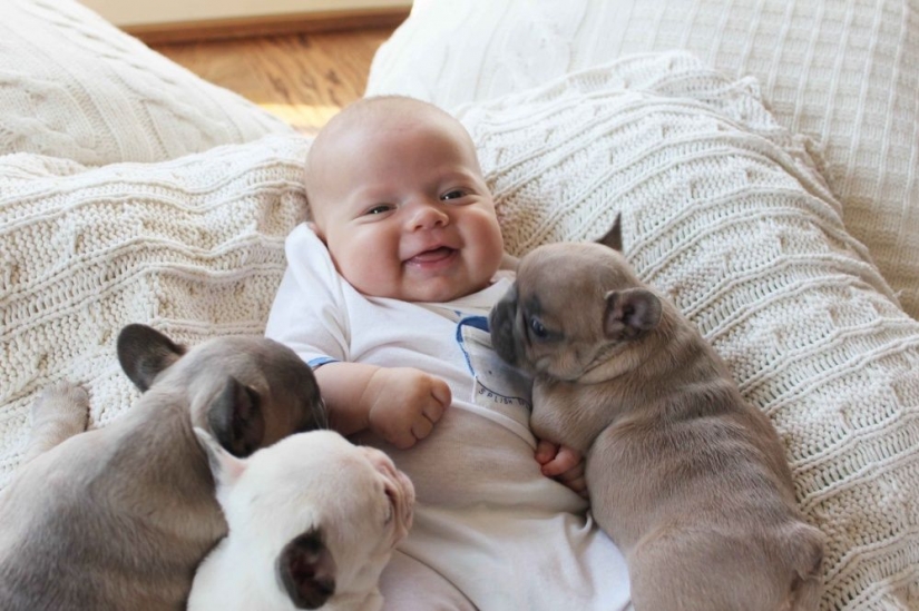 No se necesitan palabras para comunicarse No se necesitan palabras para comunicarse