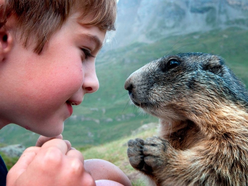 No se necesitan palabras para comunicarse No se necesitan palabras para comunicarse