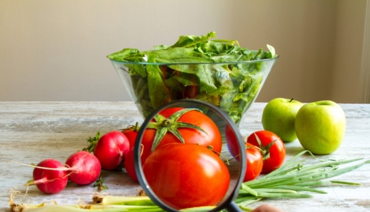 No sólo el pez globo: 12 "la venenosa" de los productos en su Escritorio