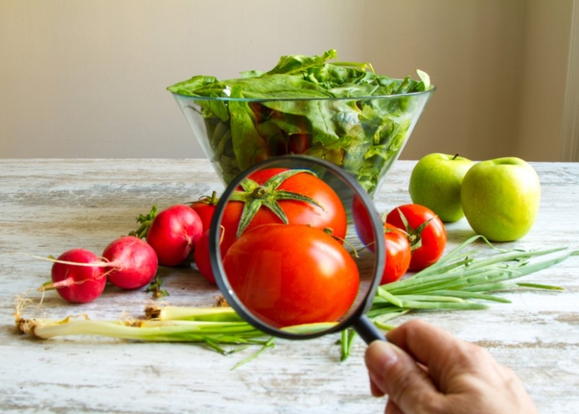 Not only puffer fish: 12 "poisonous" products on your Desk Not only puffer fish: 12 "poisonous" products on your Desk