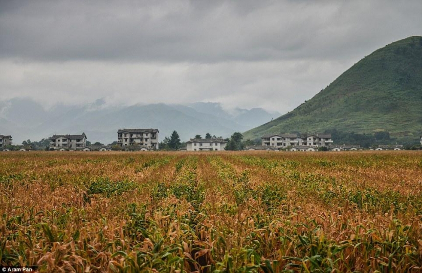 Not the depressed North Korea: playing on the beach girls, trendy shops and restaurants