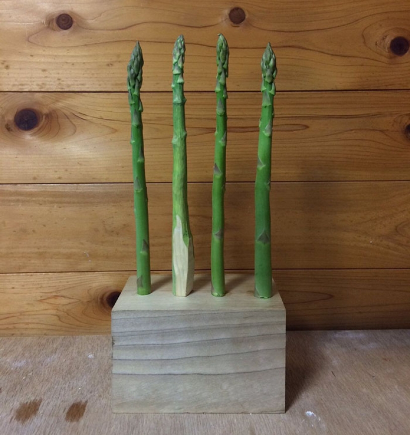 Nunca vas a adivinar lo que hizo que estos productos