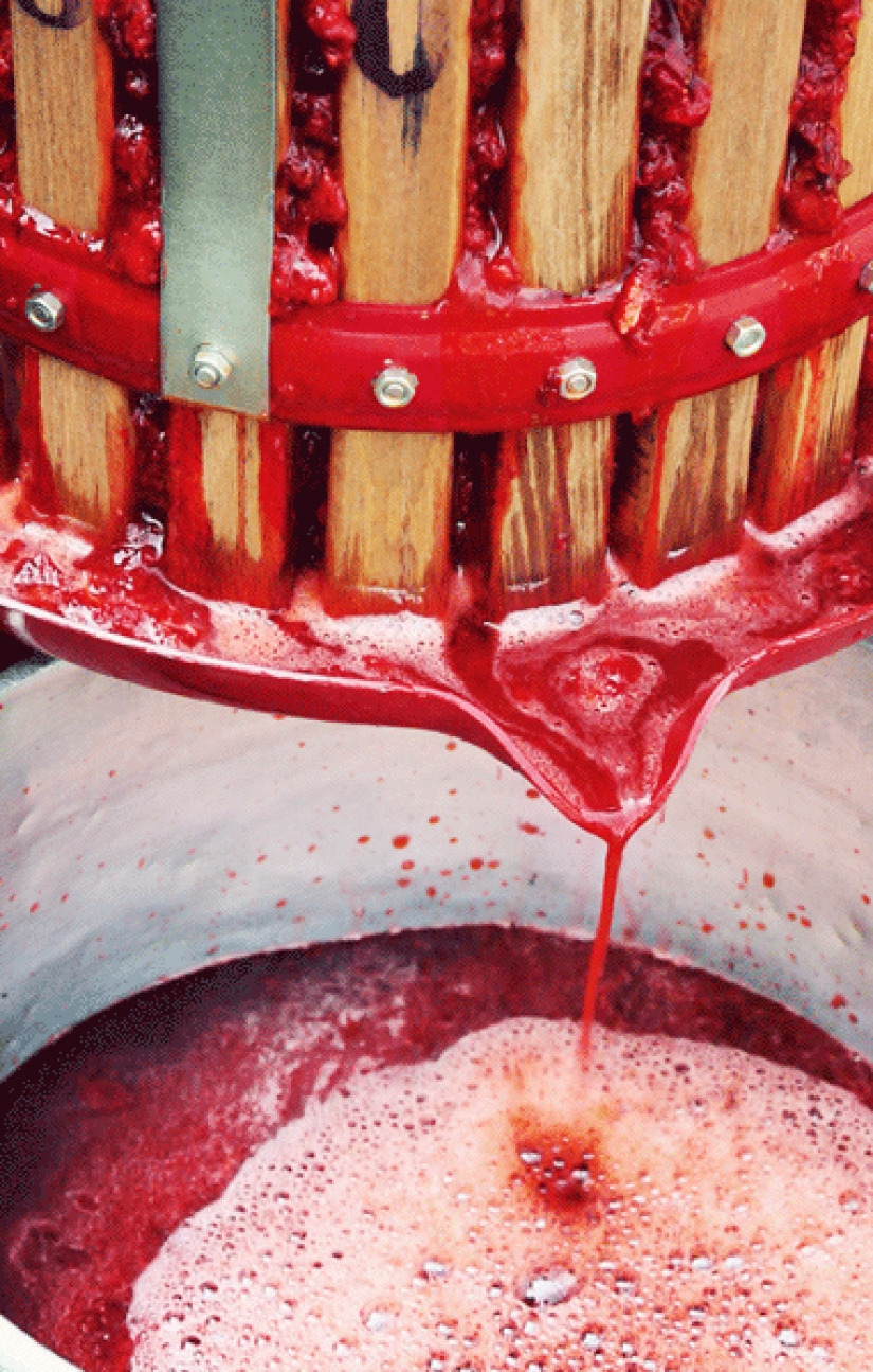 Oh, lo que es un milagro — la fresa de la cerveza! Oh, lo que es un milagro — la fresa de la cerveza!