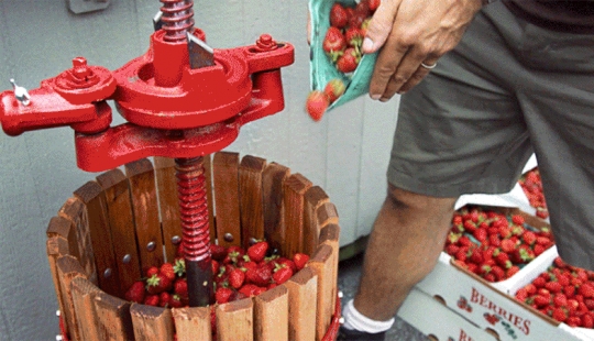 Oh what a miracle — strawberry beer!