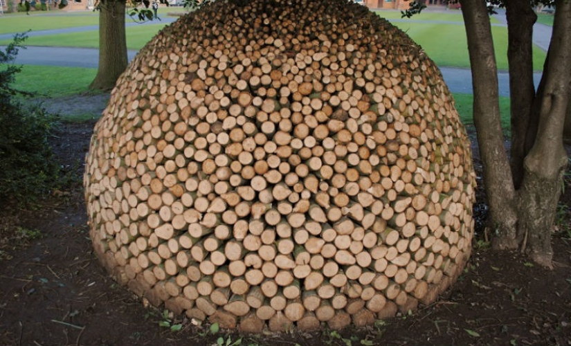 On the courtyard grass, on a grass firewood On the courtyard grass, on a grass firewood