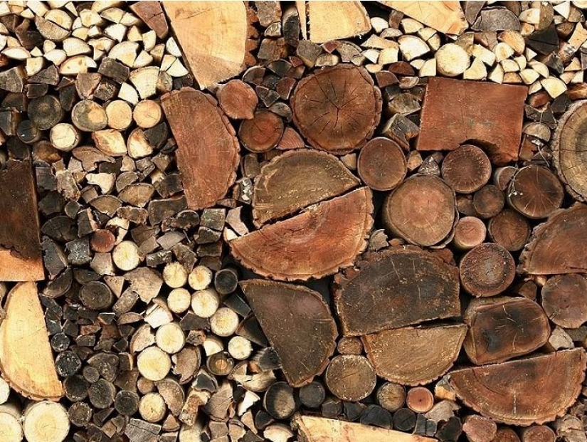 On the courtyard grass, on a grass firewood On the courtyard grass, on a grass firewood