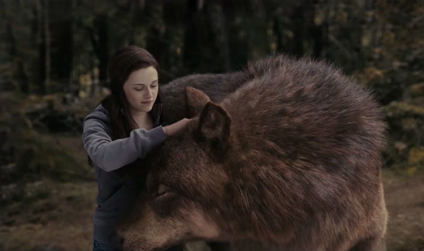 On the set: how to create the most incredible special effects in the movie On the set: how to create the most incredible special effects in the movie