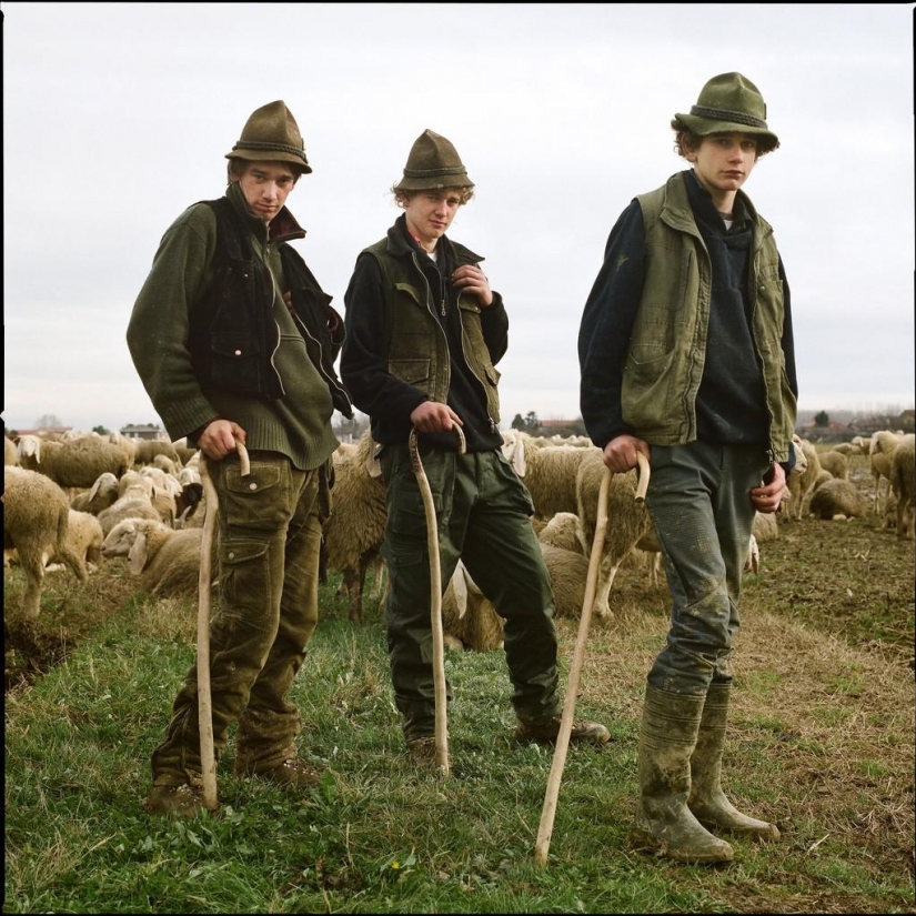 Ordinario de los Italianos a través de los ojos de italiano Ordinario de los Italianos a través de los ojos de italiano