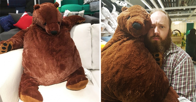 Oso Tungelsta vino a nosotros en el 2020, para enviar un Tiburón Blaha para descansar Oso Tungelsta vino a nosotros en el 2020, para enviar un Tiburón Blaha para descansar