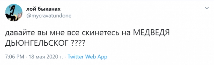 Oso Tungelsta vino a nosotros en el 2020, para enviar un Tiburón Blaha para descansar Oso Tungelsta vino a nosotros en el 2020, para enviar un Tiburón Blaha para descansar