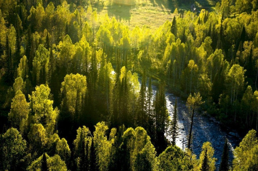 Otoño en las montañas de Kazajstán de la altura de vuelo de pájaro
