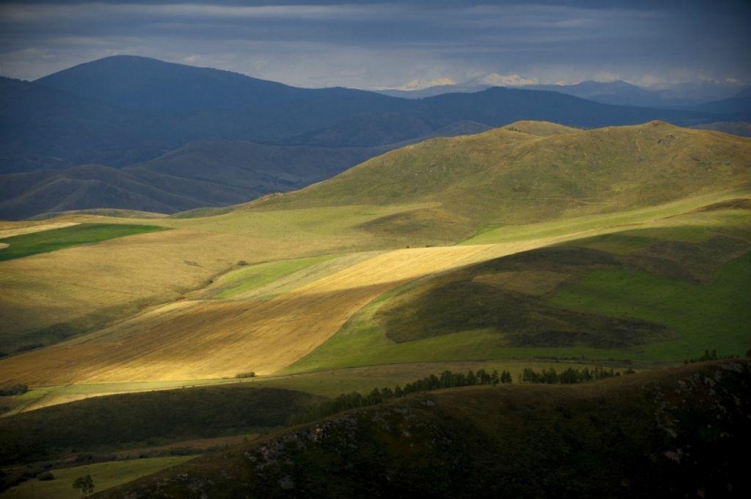 Otoño en las montañas de Kazajstán de la altura de vuelo de pájaro