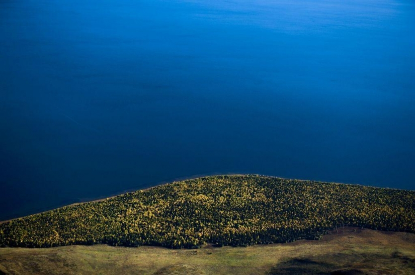 Otoño en las montañas de Kazajstán de la altura de vuelo de pájaro