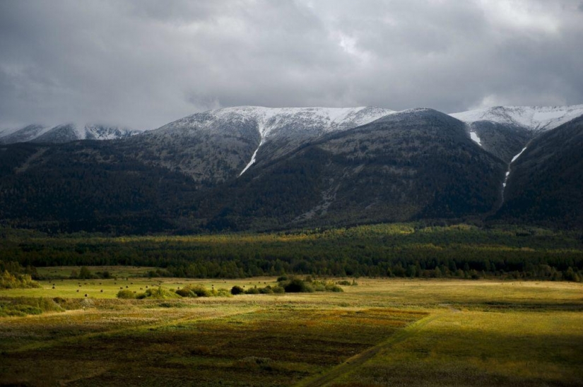 Otoño en las montañas de Kazajstán de la altura de vuelo de pájaro