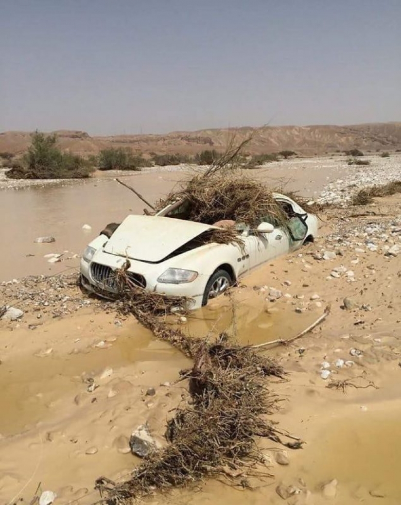 Otro "trabajo del sueño" en los EMIRATOS árabes unidos la búsqueda de especialista de búsqueda de coches de lujo abandonados Otro "trabajo del sueño" en los EMIRATOS árabes unidos la búsqueda de especialista de búsqueda de coches de lujo abandonados