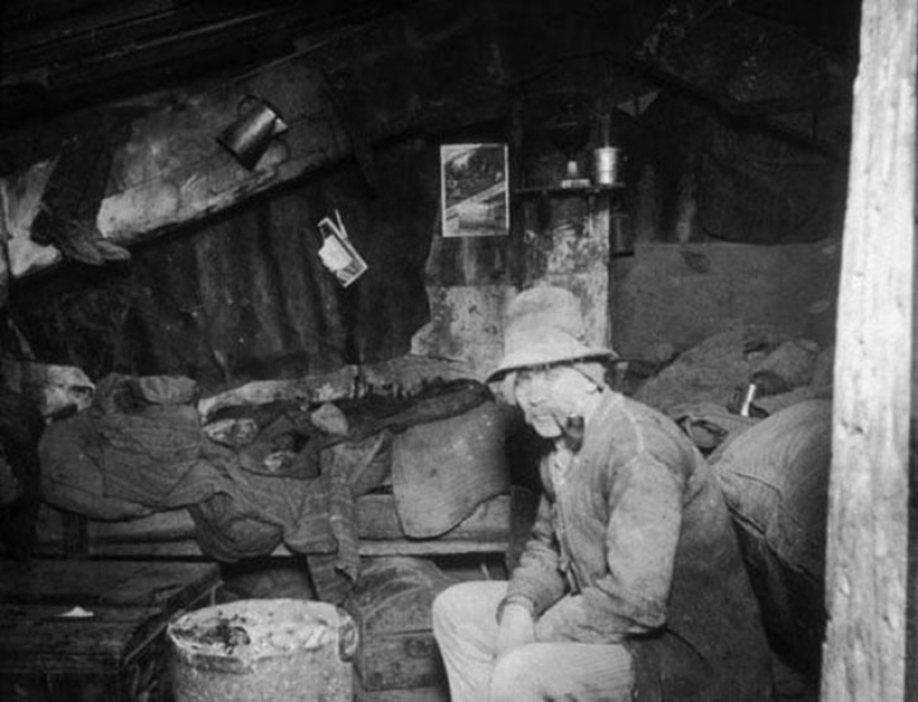 Page the lives of ordinary and poor Americans in new York in the nineteenth century