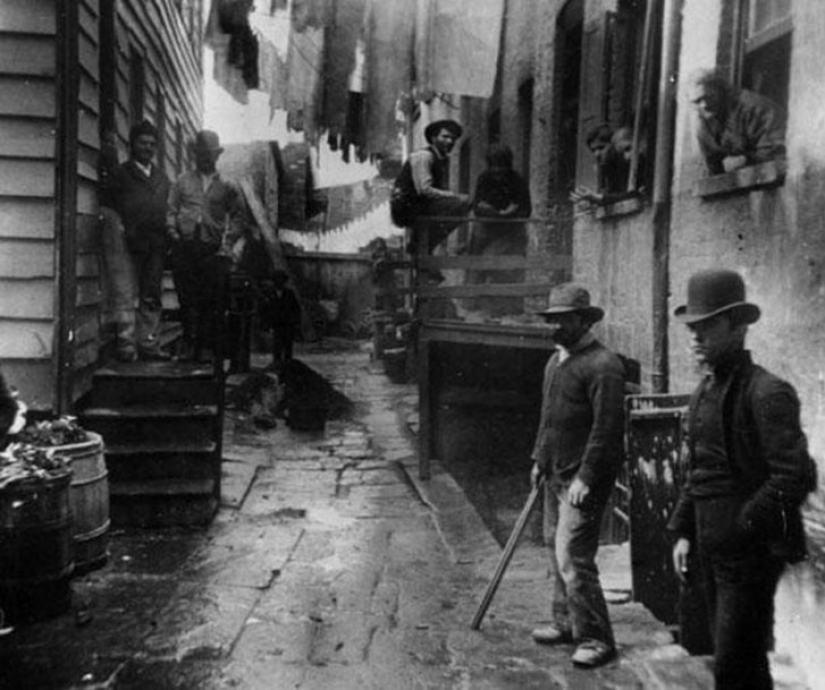 Page the lives of ordinary and poor Americans in new York in the nineteenth century