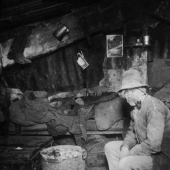 Page the lives of ordinary and poor Americans in new York in the nineteenth century