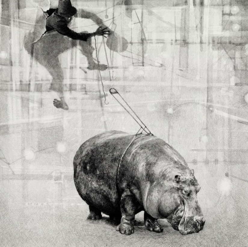 Pencil masterpieces, like the black and white photos