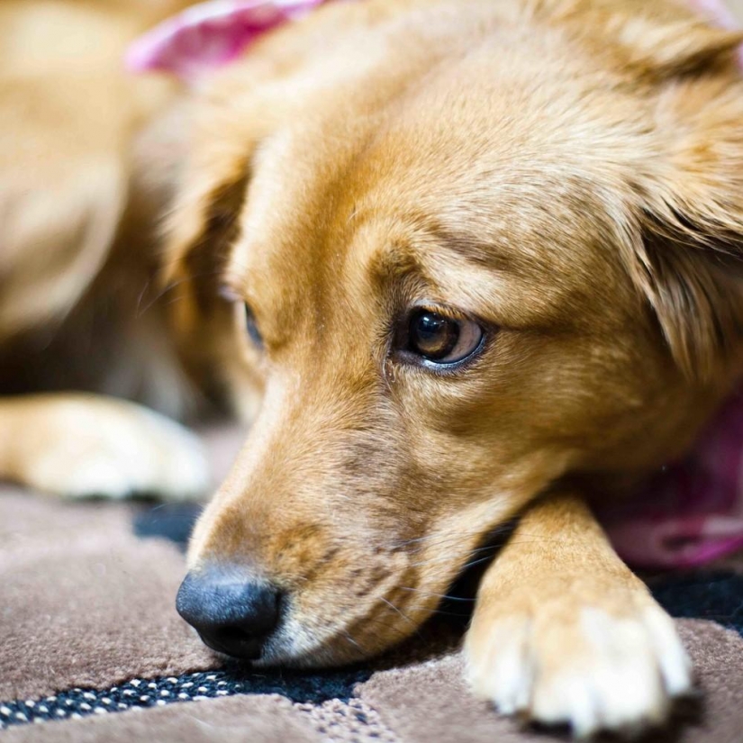 People with their own nightmares from around the world