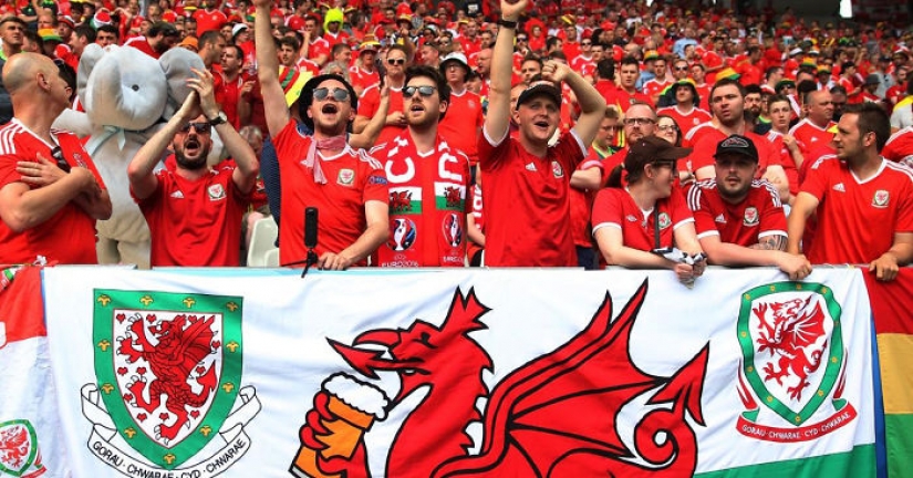 Perdida de Peluche elefante viaja por el mundo Perdida de Peluche elefante viaja por el mundo