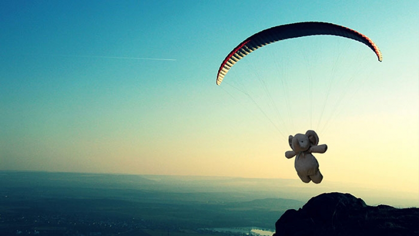 Perdida de Peluche elefante viaja por el mundo Perdida de Peluche elefante viaja por el mundo