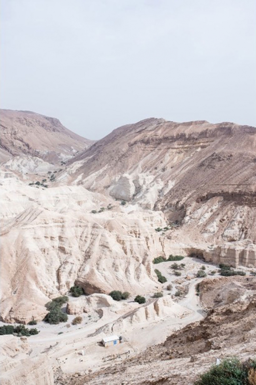 Photo: dying Dead sea