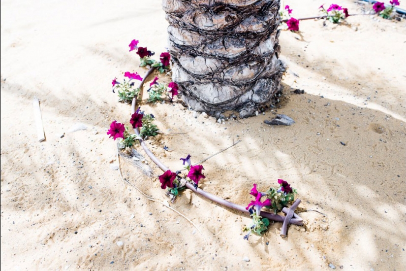 Photo: dying Dead sea