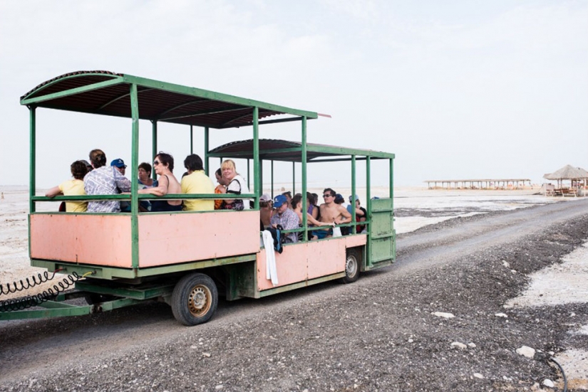 Photo: dying Dead sea