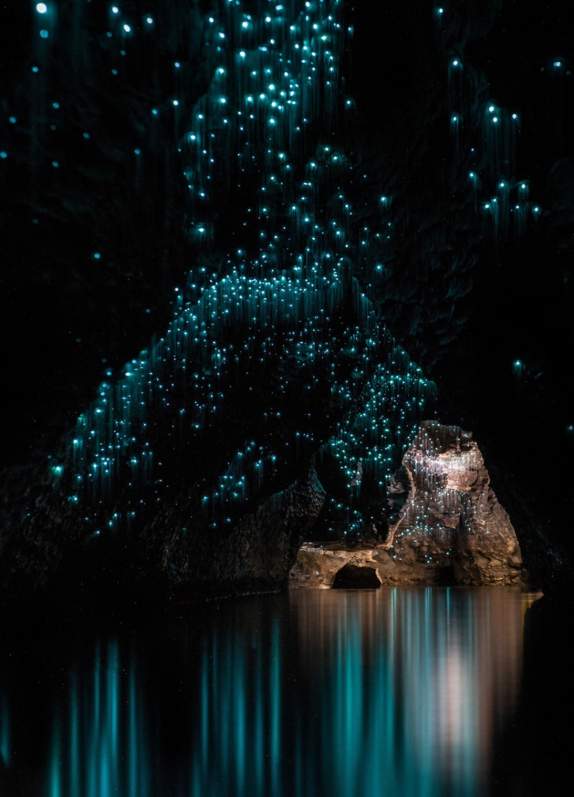 Photographer shot of the starry sky of glowworms cave in new Zealand Photographer shot of the starry sky of glowworms cave in new Zealand