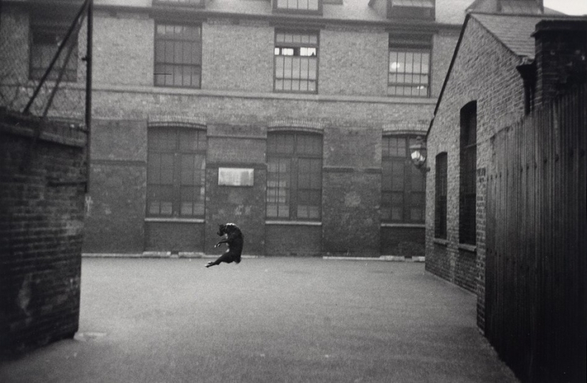 Photos taken at the right moment, from the era when it was not yet fashionable