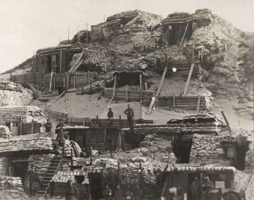 Pigeons and masks: the other side of the First world