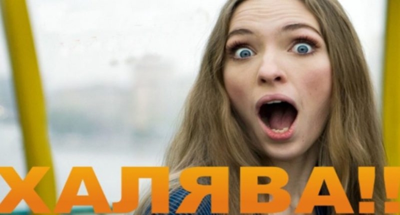 Pizza gratis y un sin fin de chocolate: los fans de un regalo compartido en la red su mejor lifehacks Pizza gratis y un sin fin de chocolate: los fans de un regalo compartido en la red su mejor lifehacks