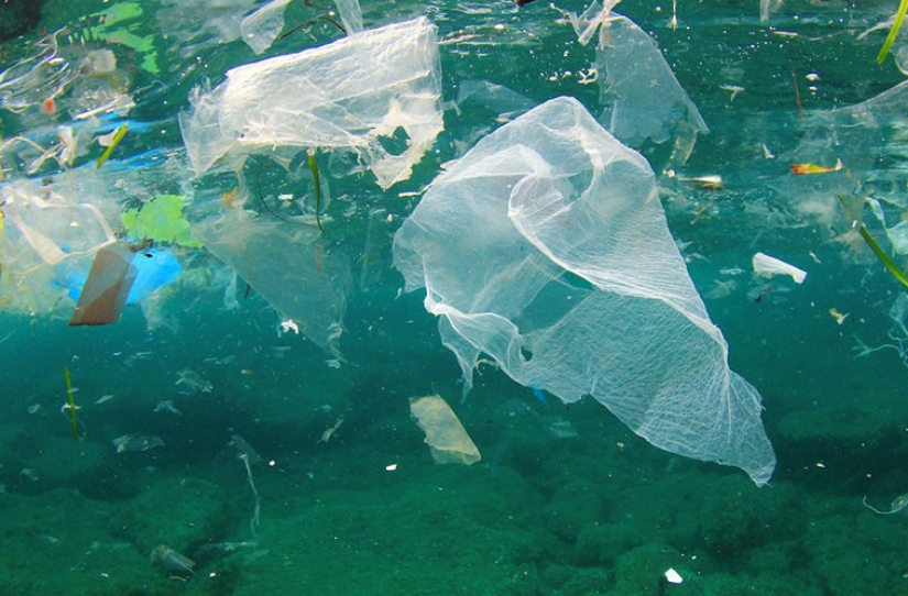 Plastic bag carry? The world's custom, where you can suddenly be a criminal Plastic bag carry? The world's custom, where you can suddenly be a criminal