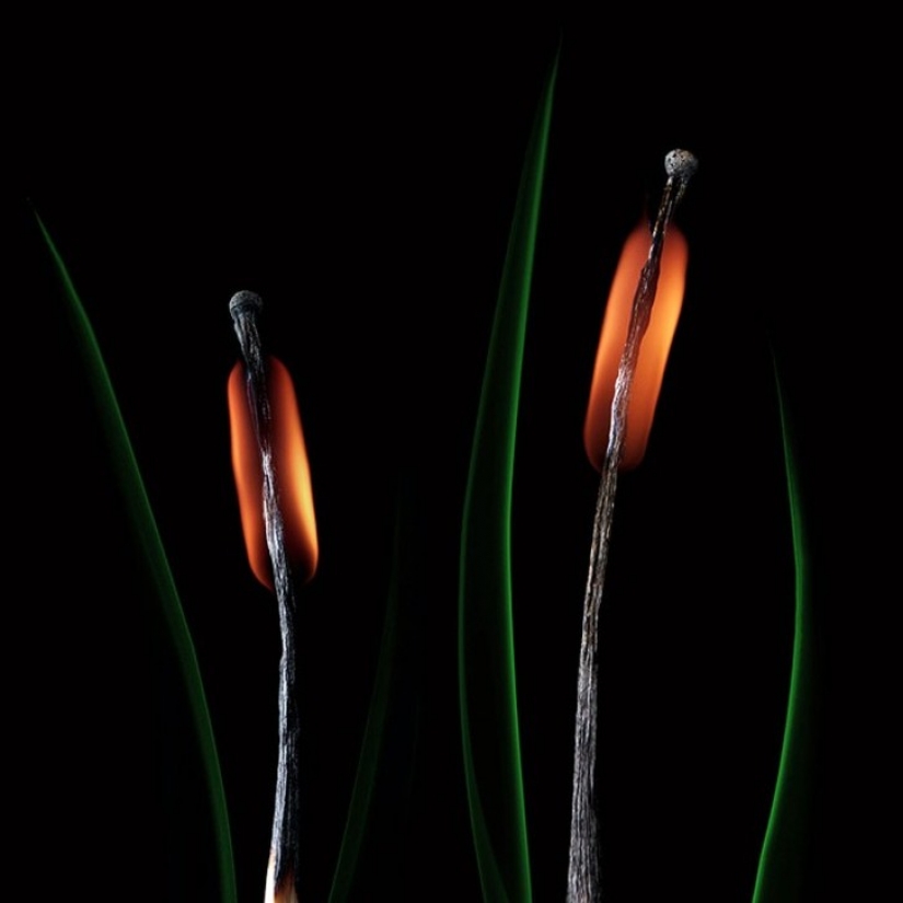 Playing with matches: a magical work of Stanislav Aristov Playing with matches: a magical work of Stanislav Aristov