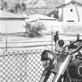 Point work: stunning sculptures out of hundreds of thousands of nails