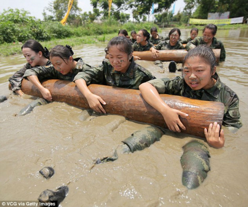 ¿Por qué la dura Chino asistentes de vuelo que mejor no meterse con
