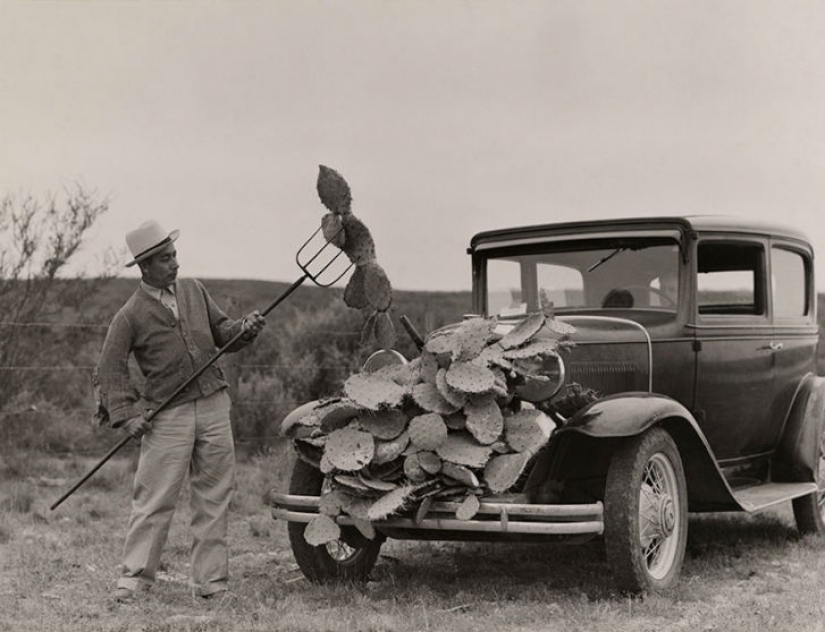 Previously unpublished National Geographic photos Previously unpublished National Geographic photos